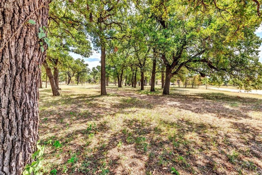 Pecan Farm Haus Fredericksburg Dış mekan fotoğraf